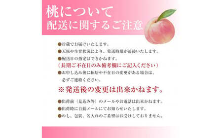 【先行予約】 朝もぎ直送！山梨の桃　大玉(340g以上) 5~6玉　2kg箱　化粧箱【2025年7月上旬から発送】おさだ農園[5839-0171]