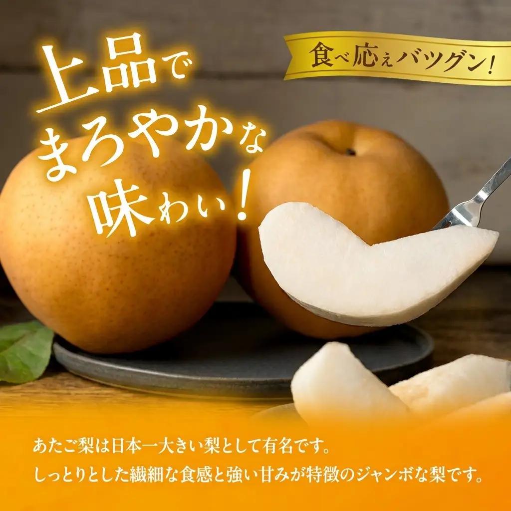 梨 2026年 先行予約 あたご梨 3～9玉 合計約4.5kg 贈答箱 岡山県産 梨