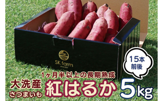 
大洗産 さつまいも 紅はるか 5kg （15本前後） Sea Sweet 長期熟成 茨城県産 サツマイモ 土付き 生芋 芋 さつま芋 薩摩芋 甘藷 べにはるか
