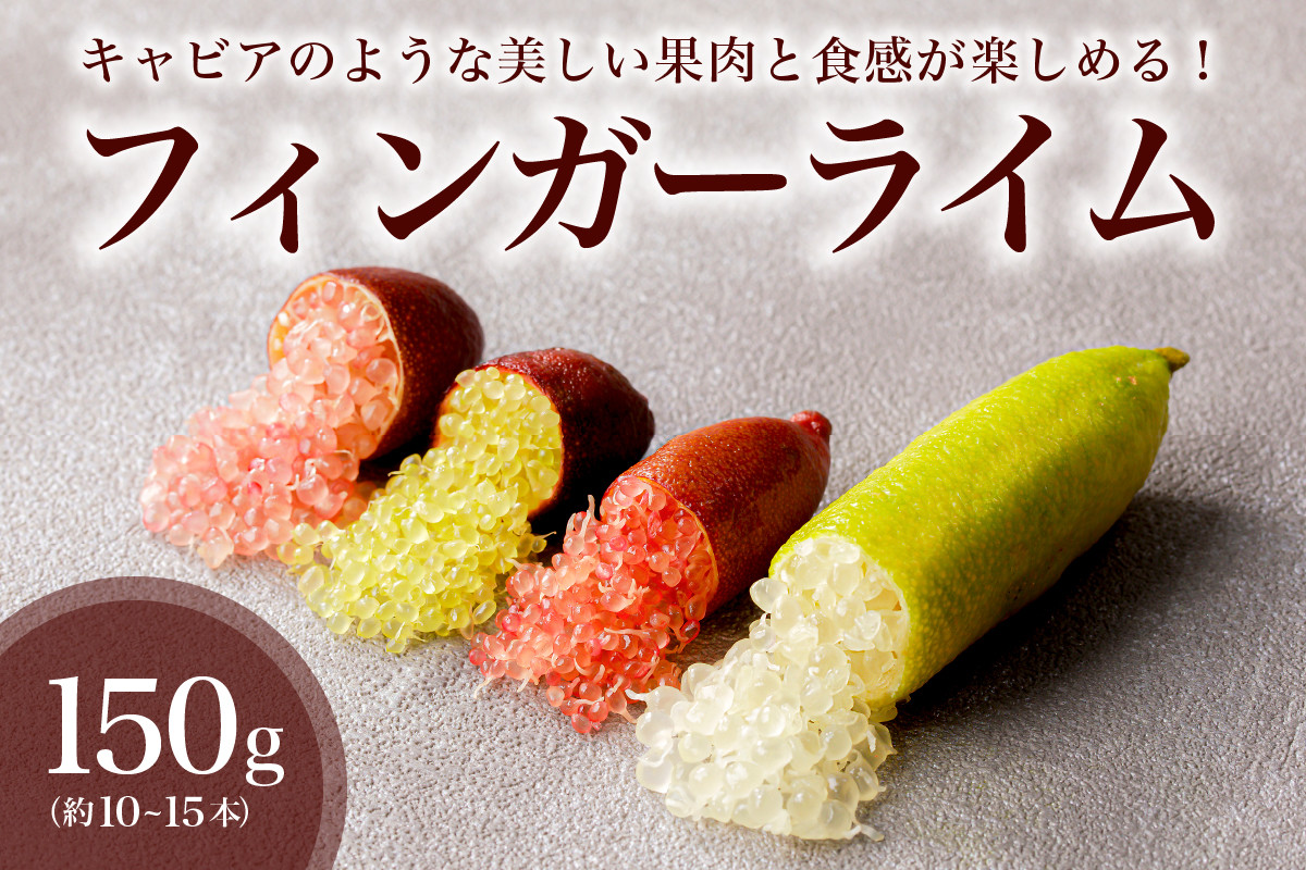 
                  フィンガーライム　150g【 果物 果実 新時代フルーツ 国産 キャビアライム 森のキャビア フルーツキャビア ブッシュキャビア 希少 柑橘 カルパッチョ ローストビーフ アイス カクテル 炭酸 トッピング 】
                