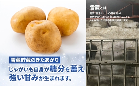 北海道 雪蔵 きたあかり  M～LM 約10kg 2025年2月中旬より順次お届け じゃがいも ジャガイモ 馬鈴薯 キタアカリ 北あかり 黄金男爵 芋 いも 雪蔵貯蔵 野菜 農作物 北海道産 丸田農園