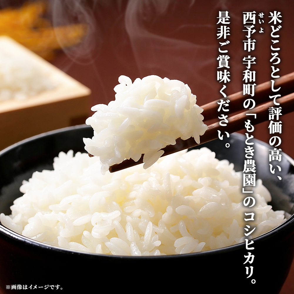 【先行予約】＜令和8年産 愛媛県西予市産 コシヒカリ 10kg＞ お米 コメ こめ 白米 精米 ご飯 新鮮 10キロ 国産 愛媛県産 宇和町産 こしひかり 特産品 もとき農園 愛媛県 西予市