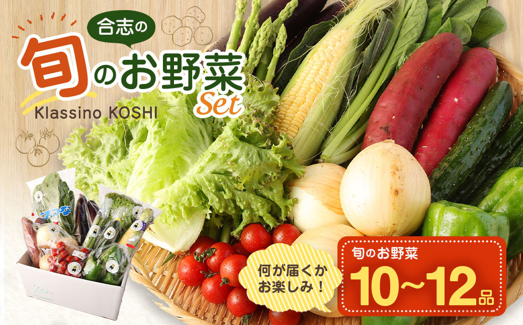 
合志の旬の お野菜 セット 10～12品
