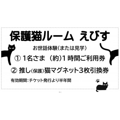 保護猫へのご支援のためのお礼品【保護猫ルームえびす】お世話体験または見学券