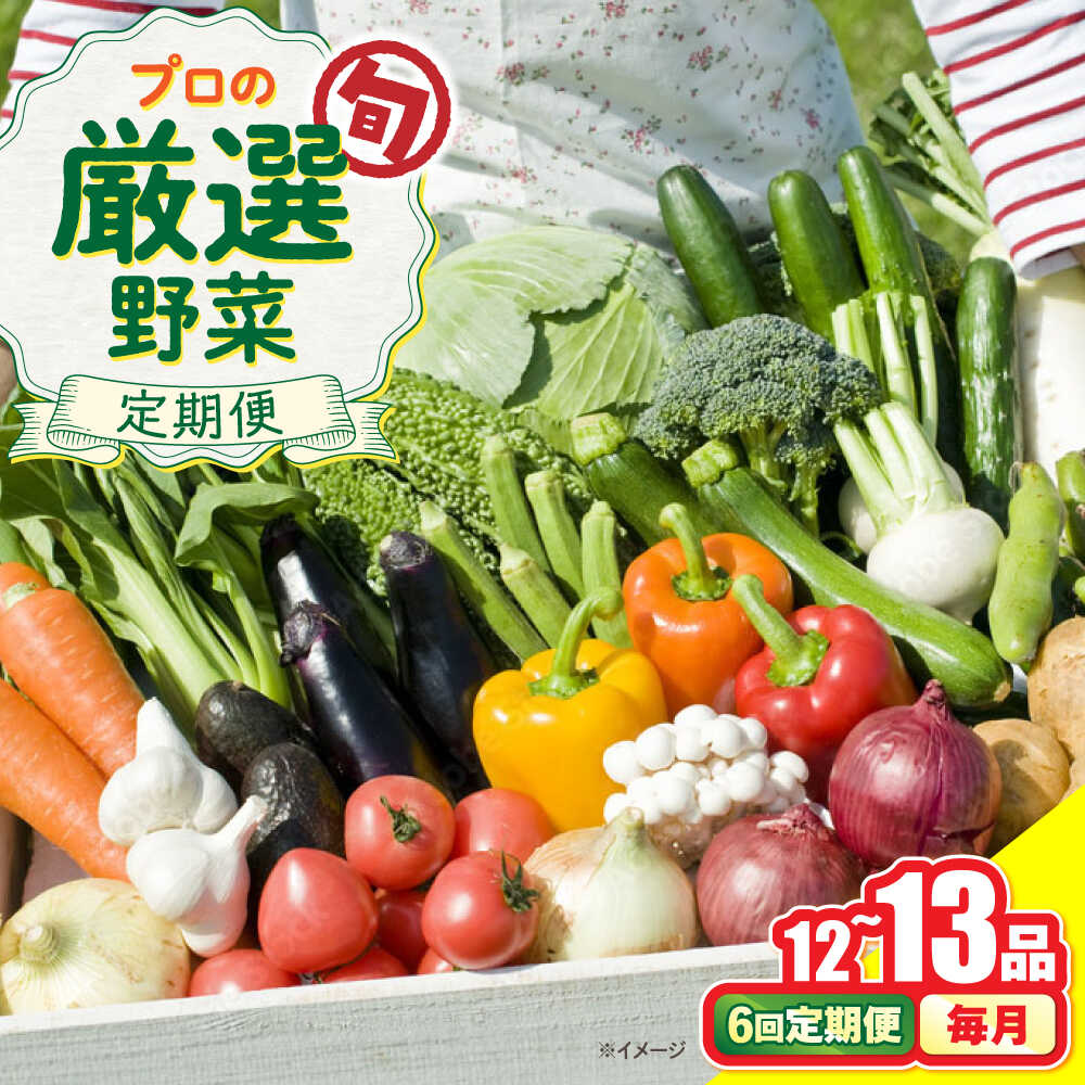 【ふるさと納税】【6回定期便】野菜のプロが選ぶ 旬の野菜セット 12〜13品目 野菜定期便 / 野菜 やさい セット 新鮮 / 南島原市 / 愛2農園[SGG003]