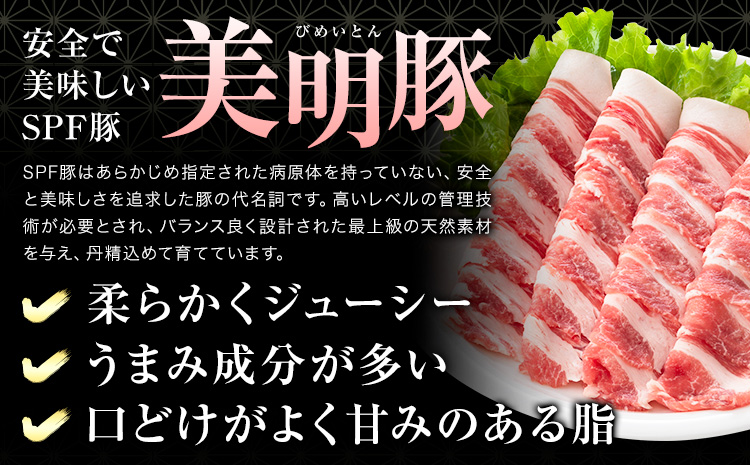 豚肉 肉 福袋 セット 美明豚 肩ロース バラ 挽肉 切り落とし 角切り 計1.9kg ワークミート《90日以内に出荷予定(土日祝除く)》茨城県 河内町 豚肉セット SPF豚 びめいとん 詰め合わせ 