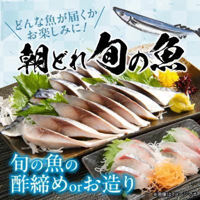 ふるさと納税 延岡市 【毎月定期便】頑張る自分へのご褒美セット全12回 |  | 03
