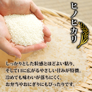 ヒノヒカリ 5kg 令和7年産 先行予約 新米 京都府八幡市