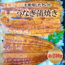 【ふるさと納税】 鰻 四万十うなぎ 230g 愛南ゴールド入りタレ セット うなぎ 蒲焼 国産 鰻 ひつまぶし 土用の丑の日 タレ ごはん ギフト 贈答用 山椒 四万十 愛南 愛媛