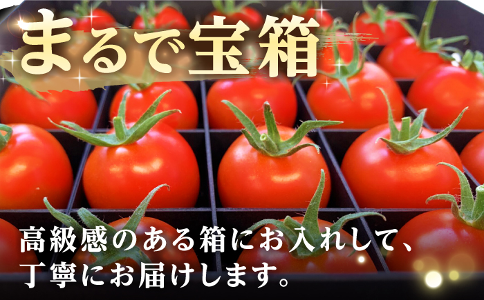 厳選!高糖度 あま壱岐トマト 約600~700g《壱岐市》【壱岐の潮風】 トマト 野菜 完熟 高糖度 ギフト プレゼント 贈り物 産地直送 常温配送 14000 14000円 [JAE010]