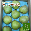 【ふるさと納税】西洋梨 （ラ・フランス） 3kg ご家庭用 果物 フルーツ 産地直送 山形 洋なし お取り寄せ 送料無料 山形県 上山市 0110-2408