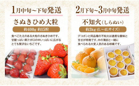 【定期便全12回】香川県さぬき市 フルーツ厳選定期便