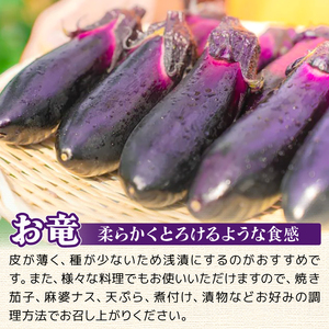 なす 約 3㎏ 約30本 高知県安芸市｜ナス AR001