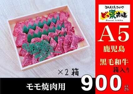 2879 A5ランク鹿児島産黒毛和牛モモ焼肉木箱 900g 450g×2箱 KN010-004-02 黒毛和牛 和牛 牛肉 肉 国産 冷凍 a5ランク モモ 焼肉 贈答 鹿屋市きもつき農業協同組合 ふるさと納税 鹿児島 鹿屋市 おすすめ ランキング プレゼント ギフト