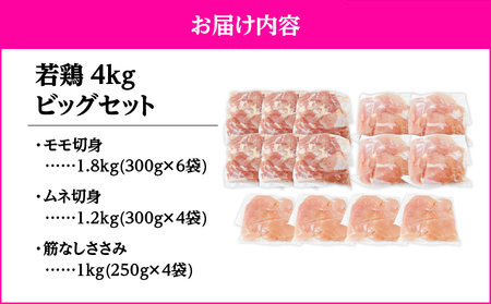 2648 若鶏4kgビッグセット KN105-001-02 国産 鹿屋市県産 鶏肉 鶏 鳥肉 鶏もも 鶏むね 鶏ささみ セット 小分け 真空 冷凍 冷凍保存 TRINITY ふるさと納税 鹿児島 鹿屋