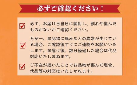 赤肉とろ甘メロン 2玉 【先行予約7月上旬～発送】 メロン