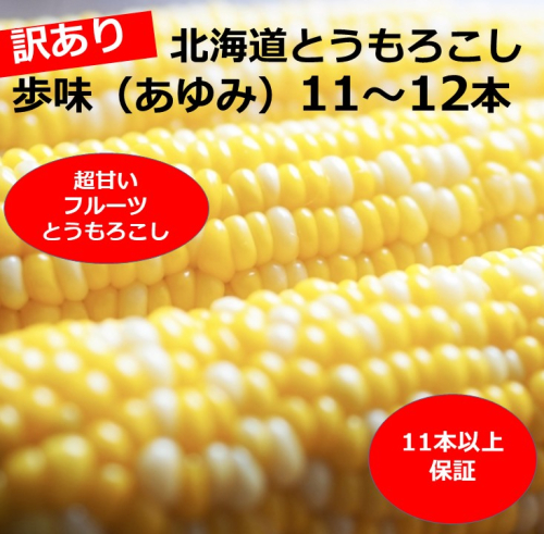 訳あり 北海道 歩味（あゆみ）バイカラーコーン 11～12本入り 4～5キロ とうもろこし トウモロコシ 数量限定 期間限定 甘い 朝採れ