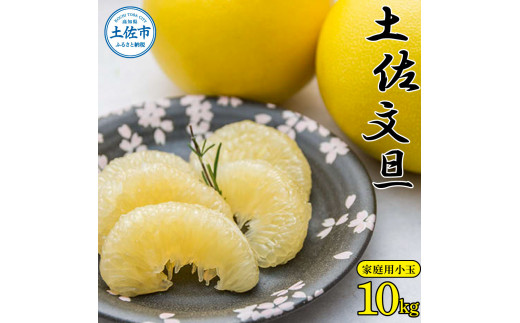 高知県産 土佐文旦 家庭用小玉サイズ約10kg ぶんたん ブンタン 果物 柑橘 フルーツ お取り寄せ おいしい 美味しい【株式会社種田農園】 [BQBW003]