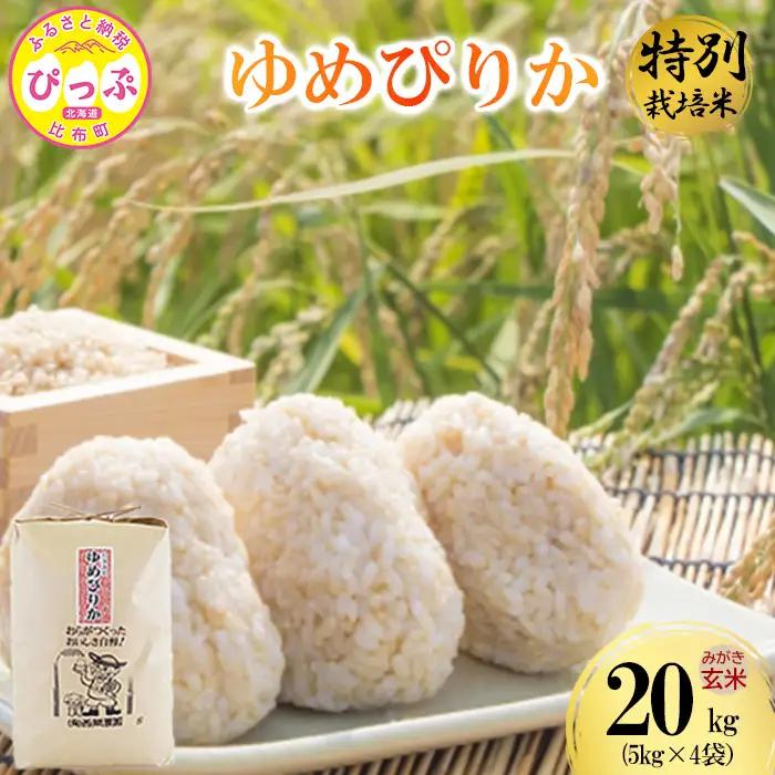 【令和8年産 新米受付】 特別栽培米 ゆめぴりか みがき玄米 20kg 【西間農園】 玄米 お米 米 北海道産 北海道米 特Aランク 国産 コメ JGAP認証農場 北海道 比布町 ぴっぷ 1005-053