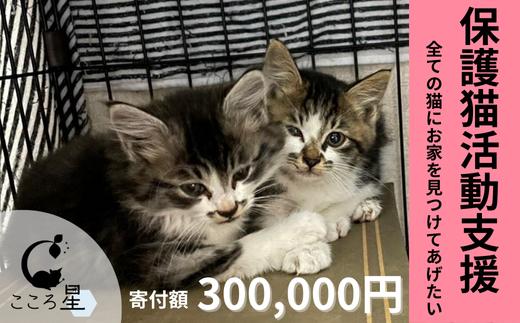 【お礼の品なし】保護猫活動支援〜野良猫から地域で見守るさくら猫に〜 寄付額300,000円 | 猫 保護猫 保護猫活動 動物愛護 野良猫 里親 特定非営利活動法人 NPO法人 こころ星 埼玉県 東松山市