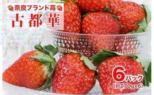 【2026年先行予約】苺 古都華(ことか) いちご 奈良 約270gx6パック 計1620g いちご 完熟 苺 産地 直送 フレッシュ イチゴ 贈答 フルーツ 果物 国産 奈良 奈良県 河合町 ふるさと人気 人気いちご ふるさと納税いちご ふるさといちご furusatoいちご おすすめいちご 送料無料いちご 奈良 奈良県