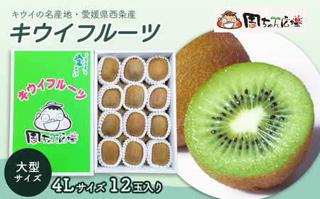 【先行予約】 愛媛県西条産 「キウイフルーツ」（JA周桑） 4Lサイズ12玉入り　大玉サイズ キウイ　2026年2月～3月発送