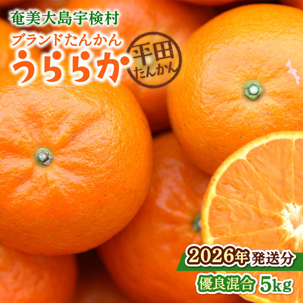 【ふるさと納税】【予約・数量限定※2026年発送分】完熟 ブランド たんかん 5kg L 2L サイズ 優品 良品 平田たんかん倶楽部 柑橘 みかん 奄美 宇検村 国産 光センサー 果物 奄美のみかん 厳選 糖度10度以上 甘い 数量 期間 限定 鹿児島 プレゼント ギフト 家庭用
