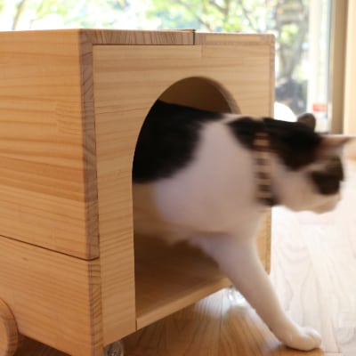 ネコトラ(トラック型ペットハウス)【E61】【1247875】