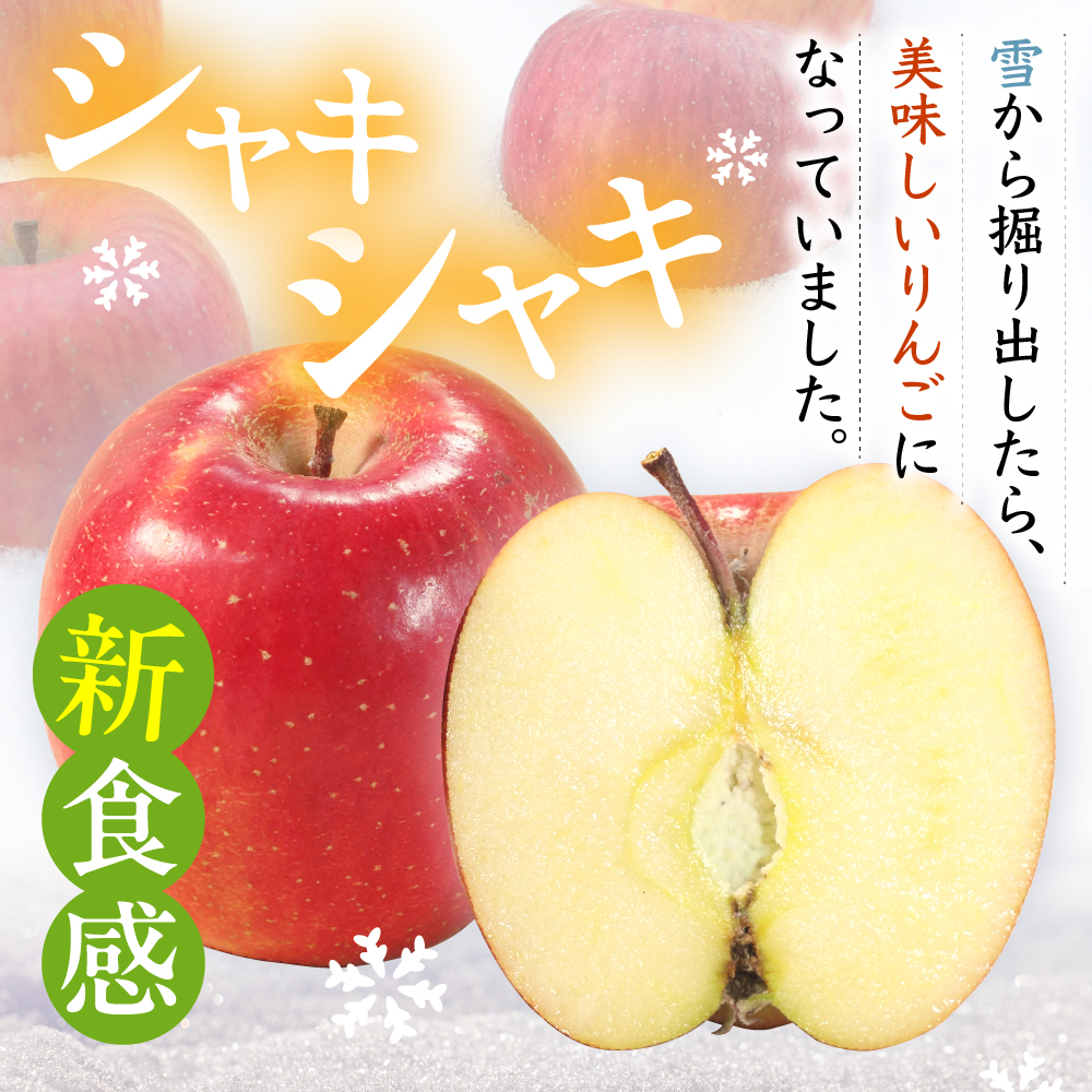 【数量限定】 雪室りんご サンふじ 約2kg【2026年3月順次発送】 青森 りんご リンゴ 林檎 2キロ 贈答 ふじりんご 五所川原