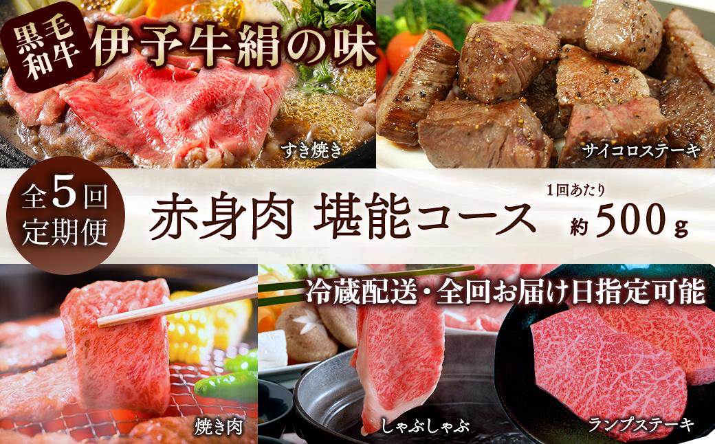 
                  【初回発送 2026年11月～】 全5回定期便 黒毛和牛 伊予牛 絹の味 ★人気の赤身★ 赤身堪能コース　愛媛県西条市 青野精肉店 【配送日時指定可・冷蔵】 ※関東以北・沖縄へのお届けは冷凍  | 黒毛和牛 A4～A5 お肉 牛肉 赤身 国産肉 国産牛肉 肉 和牛 おにく グルメ お取り寄せ おすすめ 国産 愛媛県 西条市 すき焼き ステーキ 焼肉 しゃぶしゃぶ
                