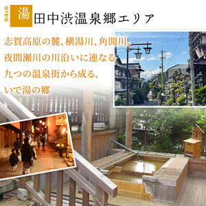 山ノ内町内宿泊補助券（12枚）1年間有効 60,000円分 旅行 宿泊券 ホテル 旅館 チケット 宿泊 補助券 志賀高原 湯田中渋温泉郷 北志賀高原 地獄谷野猿公苑  温泉 ギフト 自然 観光 長野県