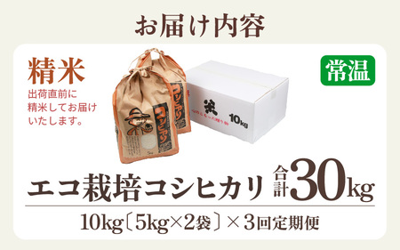 【先行予約】【令和6年産】《定期便3回》エコ栽培コシヒカリ 白米10kg（5kg×2袋）計30kg ／ 鮮度抜群 福井県産 こしひかり ご飯 新鮮 白米 新米 ※2024年10月上旬より準備出来次第発