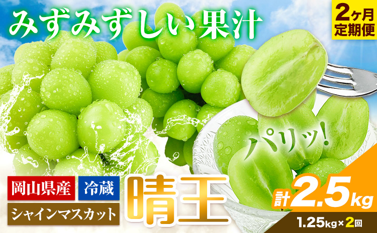 ぶどう 2ヶ月 定期便 [2025年先行予約] シャインマスカット 晴王 約1.25kg 岡山県産《9月上旬-10月末頃出荷(土日祝除く)》 ハレノフルーツ マスカット 送料無料 岡山県 浅口市 フルーツ 果物 贈り物 ギフト 国産 岡山県産 くだもの【配送不可地域あり】（北海道・沖縄・離島）