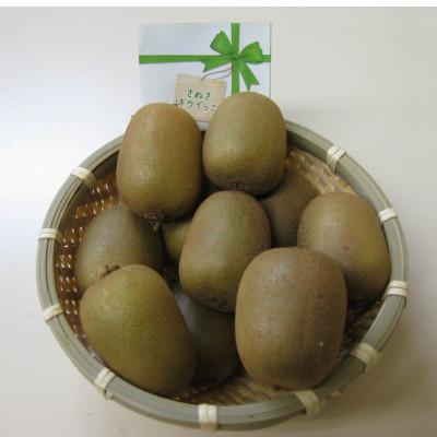 ふるさと納税 観音寺市 さぬきキウイっこ　約2kg