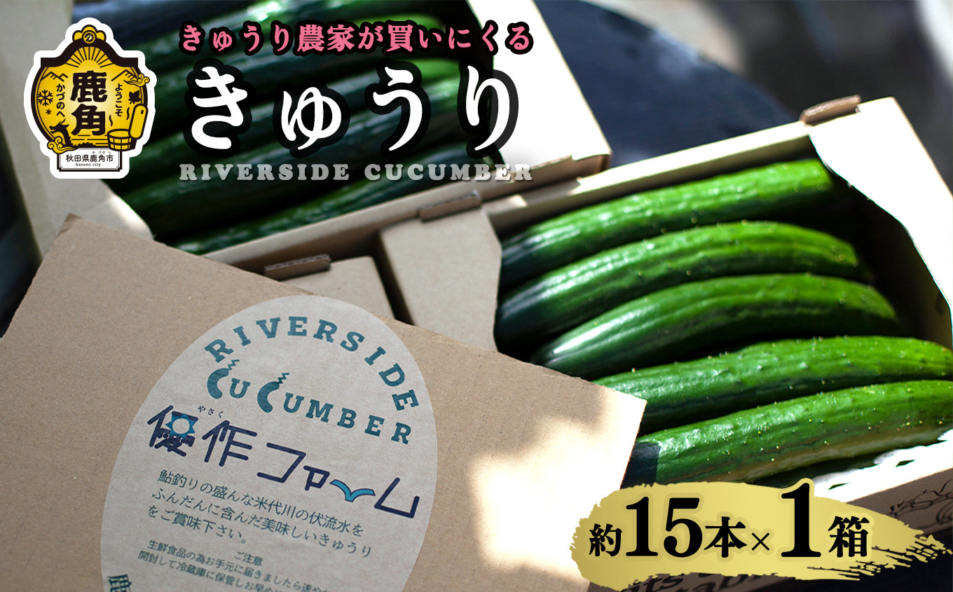 
                  令和8年産 野菜ソムリエサミット 銀賞 2年連続 受賞 リバーサイド きゅうり 1箱 約15本入り【優作ファーム】 秋田県鹿角産 新鮮 旬 安全 採れたて クール便 キュウリ 胡瓜 国産野菜 お中元 お歳暮 お取り寄せ グルメ ギフト 秋田 あきた 鹿角市 鹿角 送料無料 
                