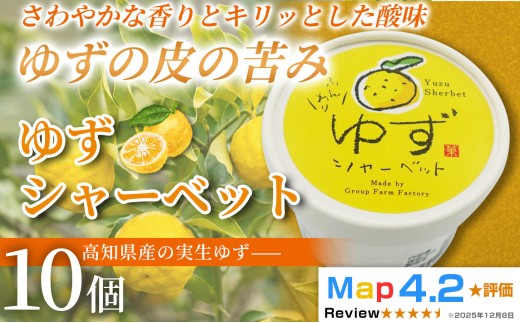 ゆず シャーベット 100ml×10個 アイスクリーム シャーベットアイス 人気 柚子 ユズ ゆずアイス 濃厚 コク お菓子 洋菓子  スイーツ デザート デザートカップ デザートアイス キャンデー カップアイス ジェラート 手作り ホームパーティー バラエティ お取り寄せ おもてなし 詰め合わせ 贈り物 贈答 冷凍 ギフト プレゼント ロングセラー リピート 安芸市 高知県