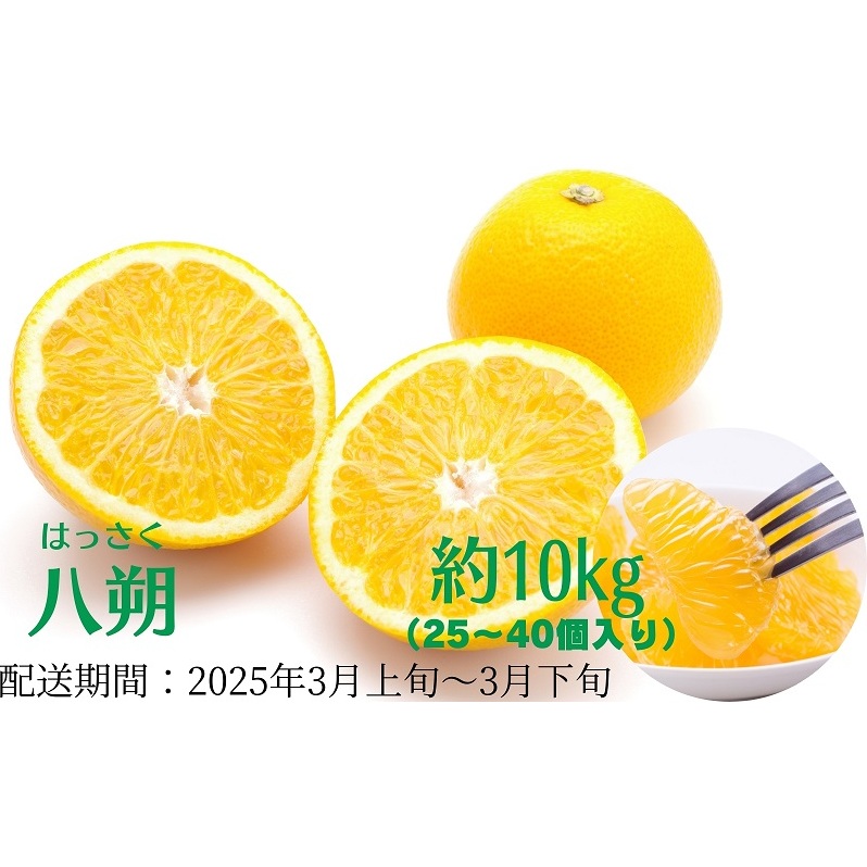 八朔　約10kg 果物類 みかん 柑橘類 フルーツ 