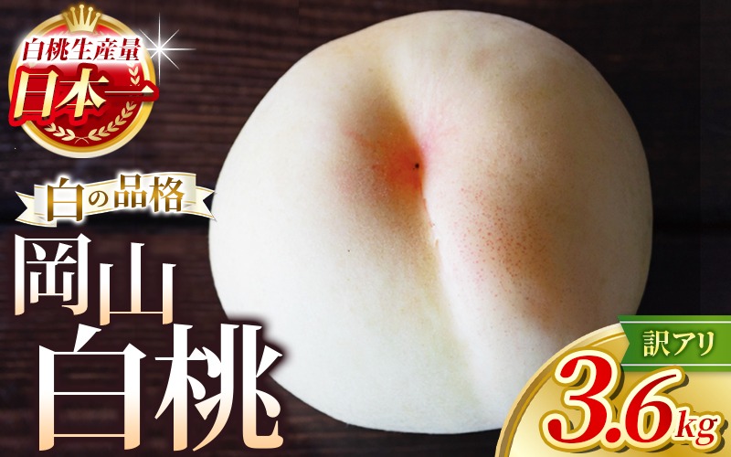 【2026年先行予約】 岡山白桃 3.6kg 訳アリ 白桃 花田青果【6月下旬～7月下旬まで順次発送予定】/ 桃 もも モモ 果物フルーツ 訳あり品 岡山県【hnds004】