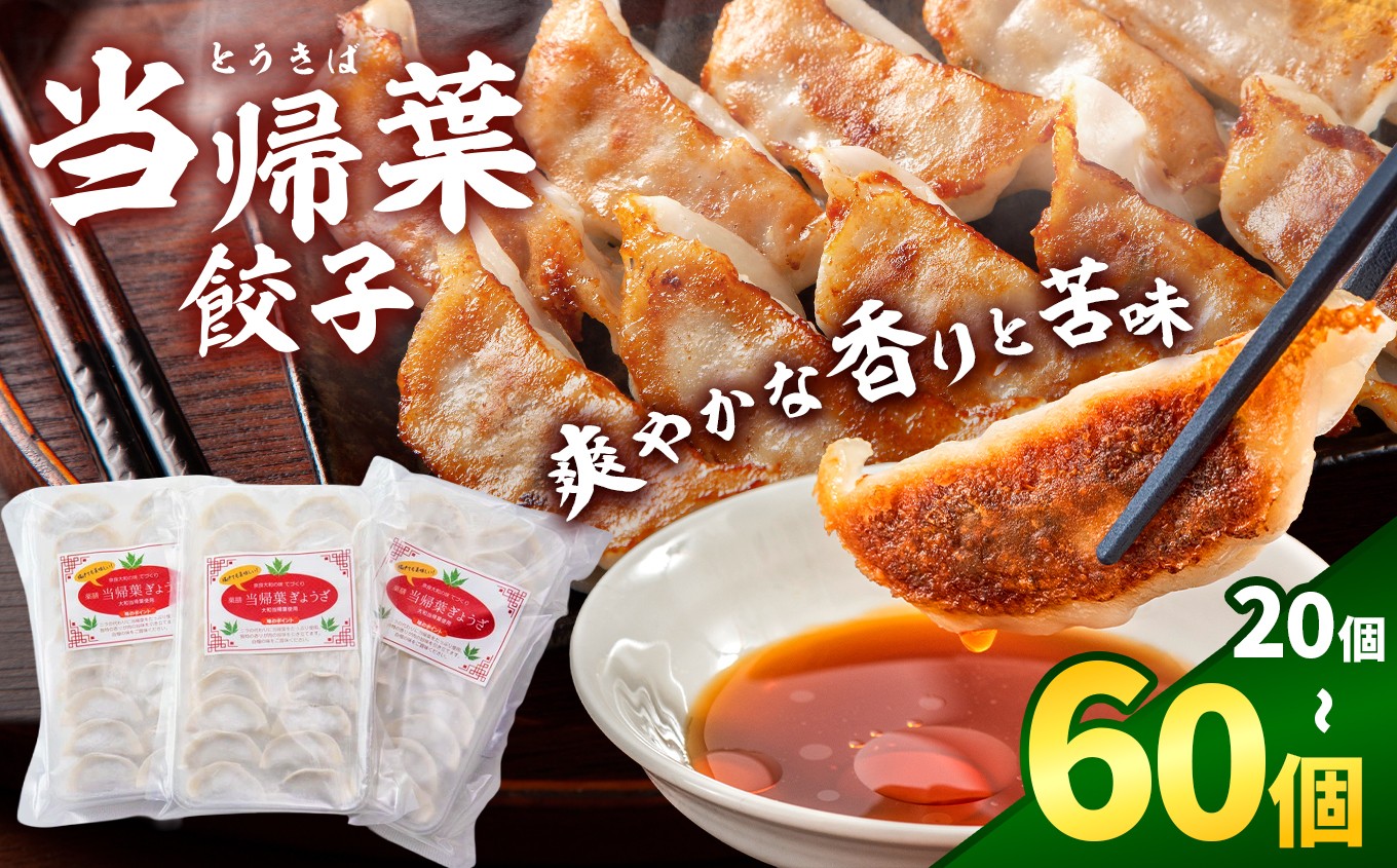 
                  【選べる内容量】当帰葉餃子 20個 / 40個 / 60個入り | 冷凍餃子 餃子 ぎょうざ ギョウザ 冷凍 焼餃子 冷凍餃子 人気 選べる 内容量 | 奈良県 五條市
                