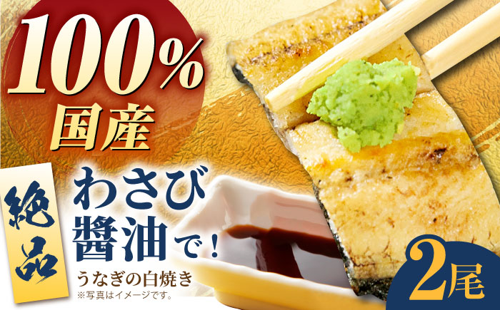 【わさび醤油でいただく】国産うなぎ 白焼き 2尾【魚正】 [HBV005]