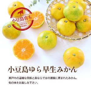 ゆら早生みかん 小豆島産 柑橘 フルーツ ゆら早生みかん【約3kg】