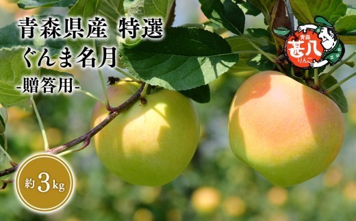 
                  １１月発送　特選　甚八りんごぐんま名月３kg　【青森県 平川市 マルジンサンアップル】１１月発送 青森 青森県産 平川 りんご リンゴ 林檎 くだもの 果物 フルーツ 
                