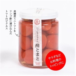 【安芸の特選ギフトセット】里帰り気分を味わう家呑みセット｜ギフトギフトギフトギフトギフトギフトギフト