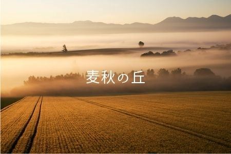 写真家　中西敏貴　額付き写真（サイン入り）[303-01]