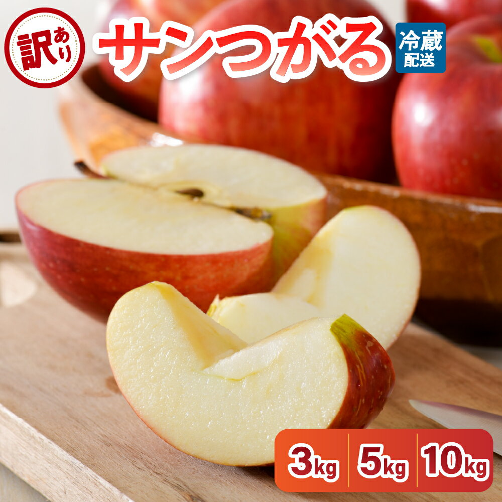 【ふるさと納税】訳あり りんご 3kg 5kg 10kg 9月 サンつがる 青森【2025年 リンゴ 林檎 果物 クール便】秋 旬