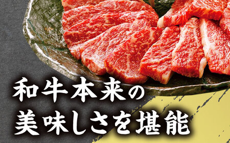 【全6回定期便】GI認証 くまもとあか牛 焼肉用 約500ｇ【有限会社 桜屋】[AYCP063]