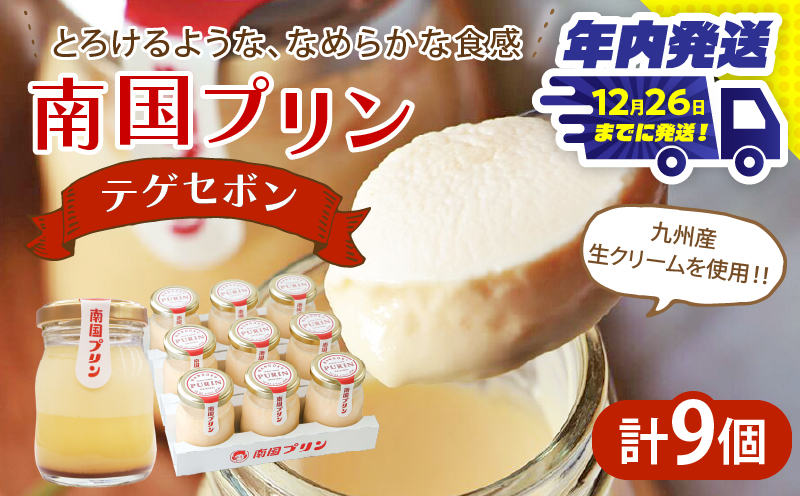 南国プリン「テゲセボン(計9個)」 スイーツ 洋菓子 国産_T038-005