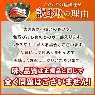 ふるさと納税 京丹後市 【訳あり・不揃い】お手軽!絶品!厚切り 塩銀鮭切身 (プロトン凍結)約1kg　肉厚なさけの切身 |  | 03