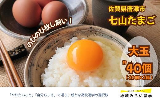 
            七山たまご20個箱×2(計40個)(大玉)
          