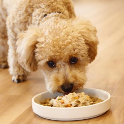 ふるさと納税 玉名市 【ふるさと納税】ちょいのせDeli 5種×各4袋セット【犬用フード】(玉名市) |  | 02